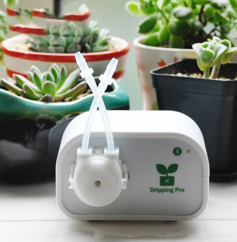 Automatic watering device