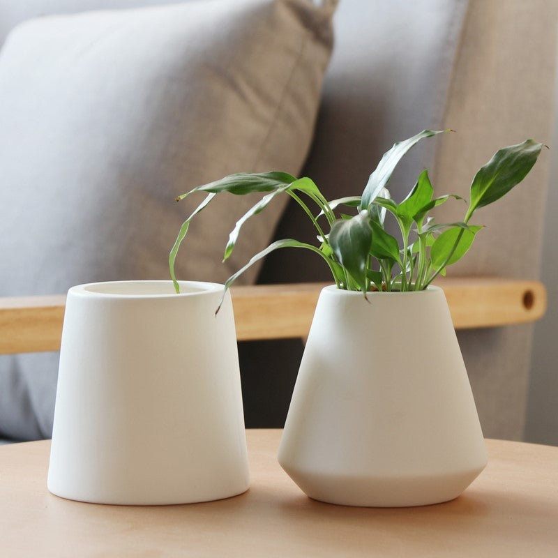 White ceramic green plants