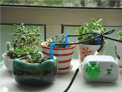 Automatic watering device