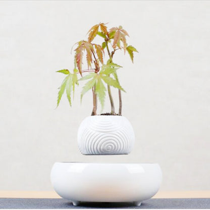 Magnetic Levitation Potted Plants